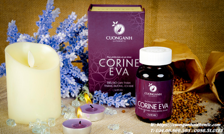 Sản phẩm Corine Eva cường anh