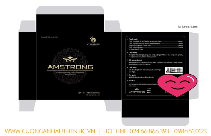 Vỏ hộp bao bì sản phẩm amstrong cường anh