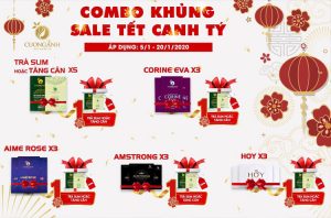 khuyến mại chào xuân canh tý